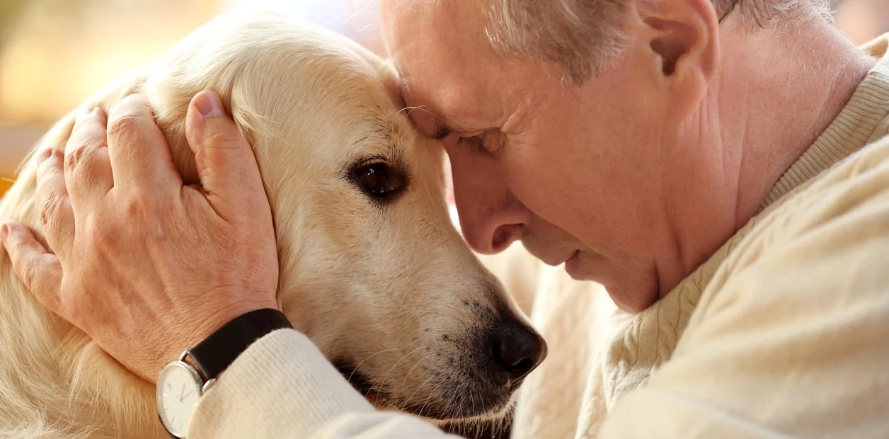 Descubren que los antidepresivos pueden beneficiar a los adultos con traumas de la infancia